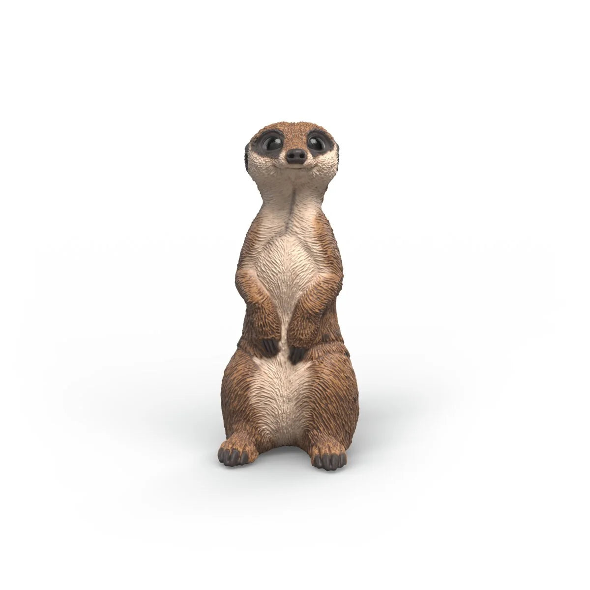 14935 Meerkat