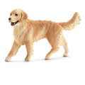 16395 Golden Retriever Female