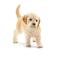 16396 Golden Retriever Puppy