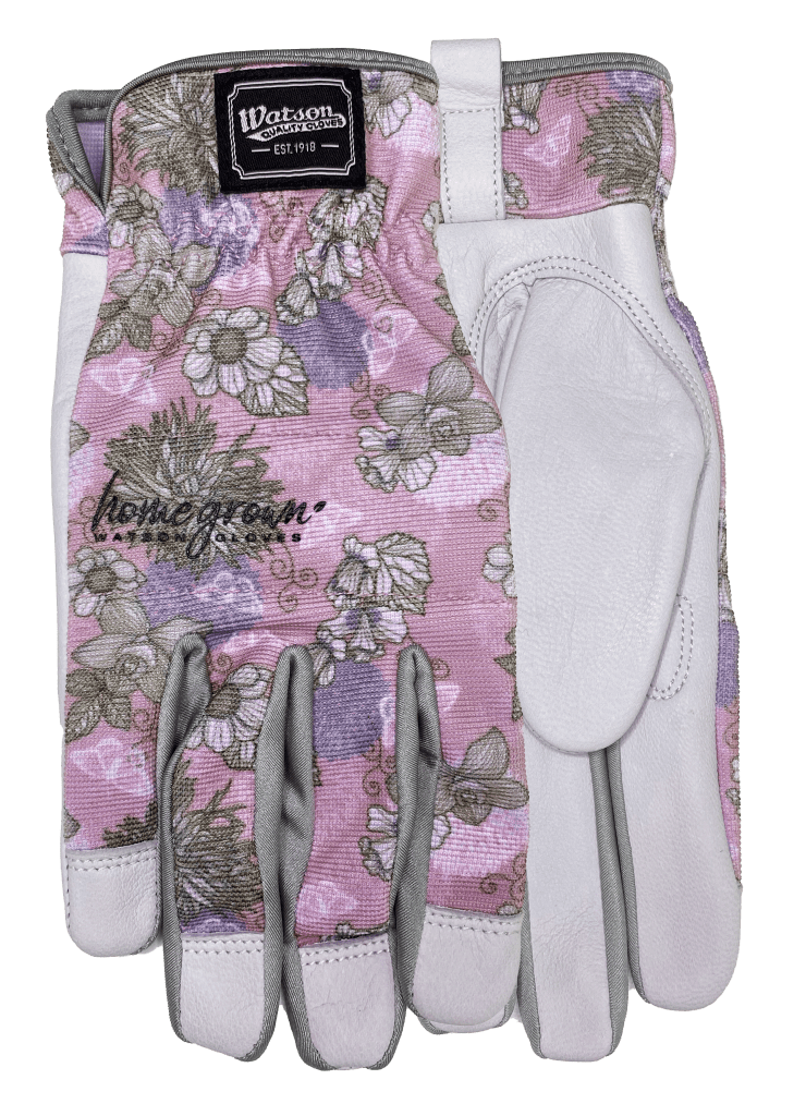 205 Lily