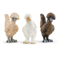 42574 Chicken Friends