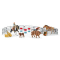 42679 Rodeo Show