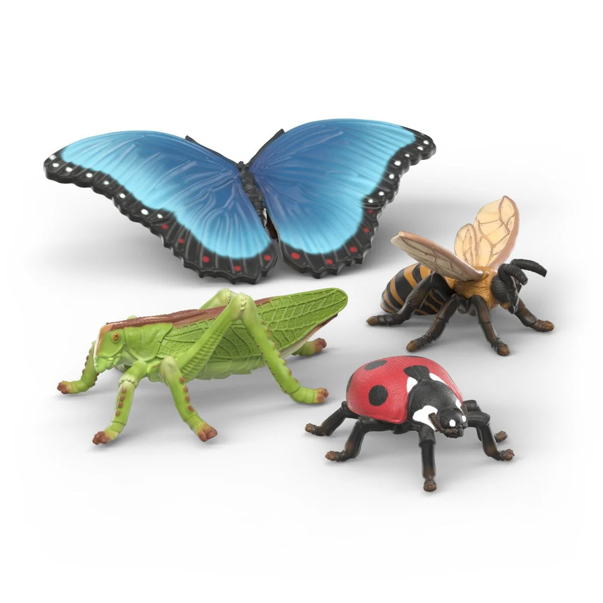 47241 Insect Discovery Set