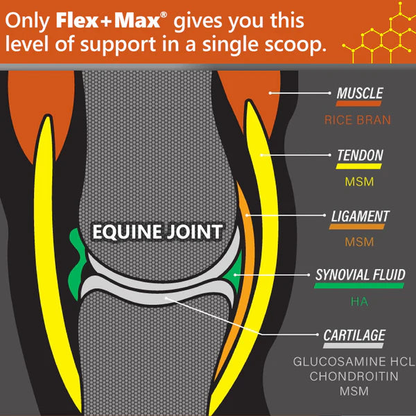Flex+Max® Joint Health Supplement Pellets