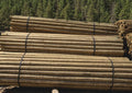 Wood Rails