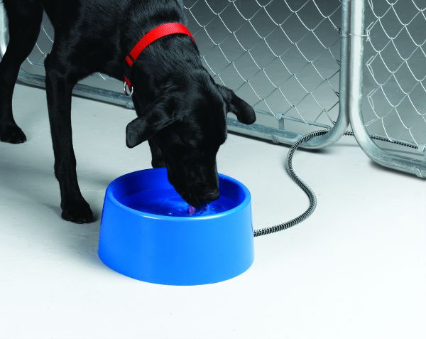 Heated Pet Bowl 5qt
