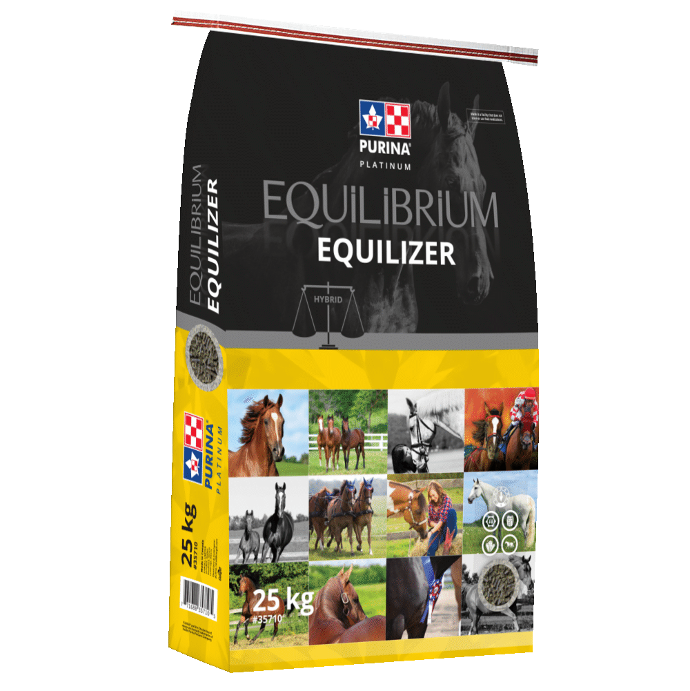 Purina Equalizer 25 Kg