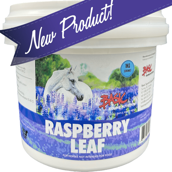 Basic Equine - Raspberry Leaf 1kg