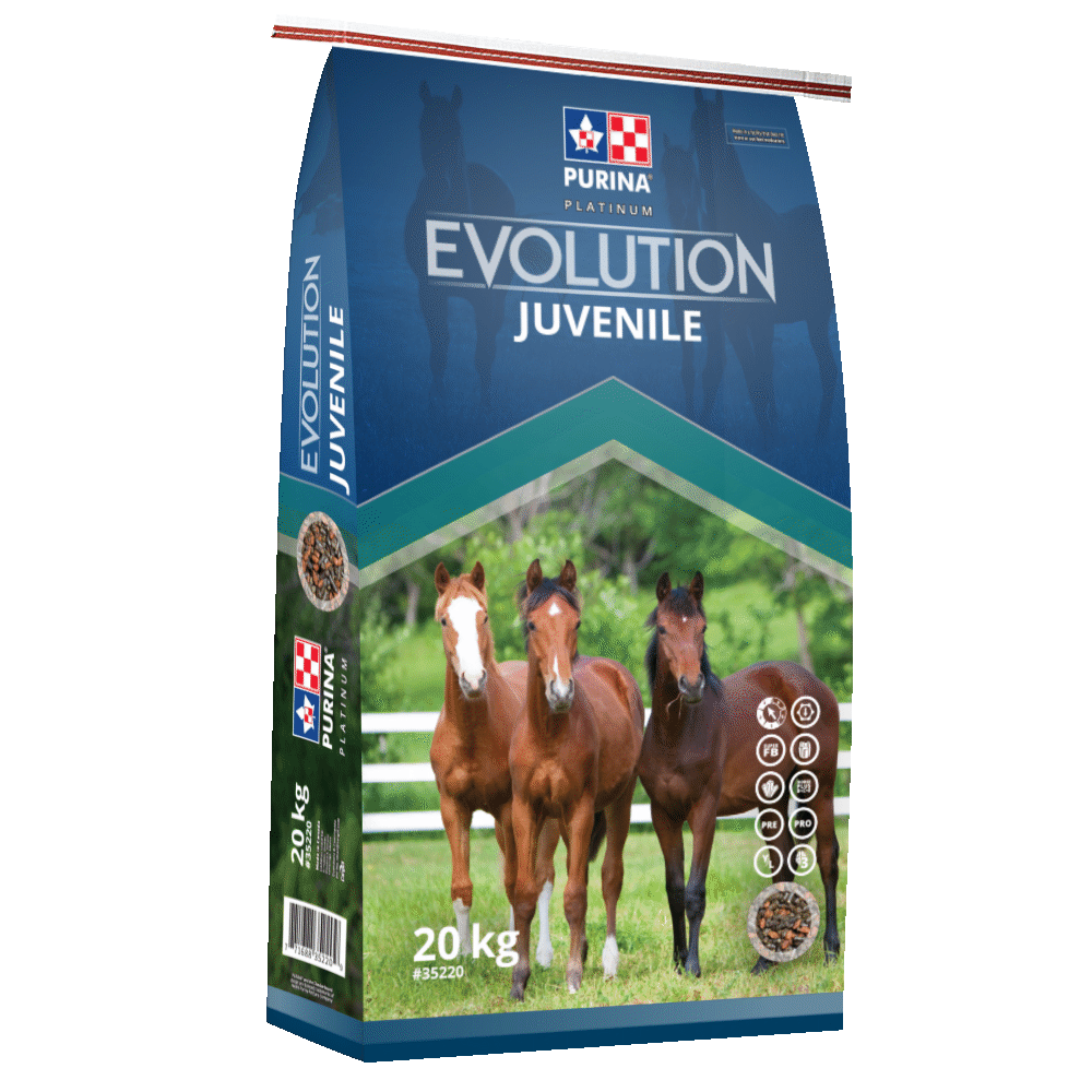 Purina Evolution Juvenile