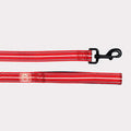 GF Pets- Leashes-Reflective