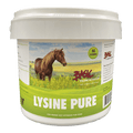 Basic Equine Lysine Pure