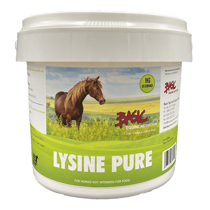 Basic Equine Lysine Pure