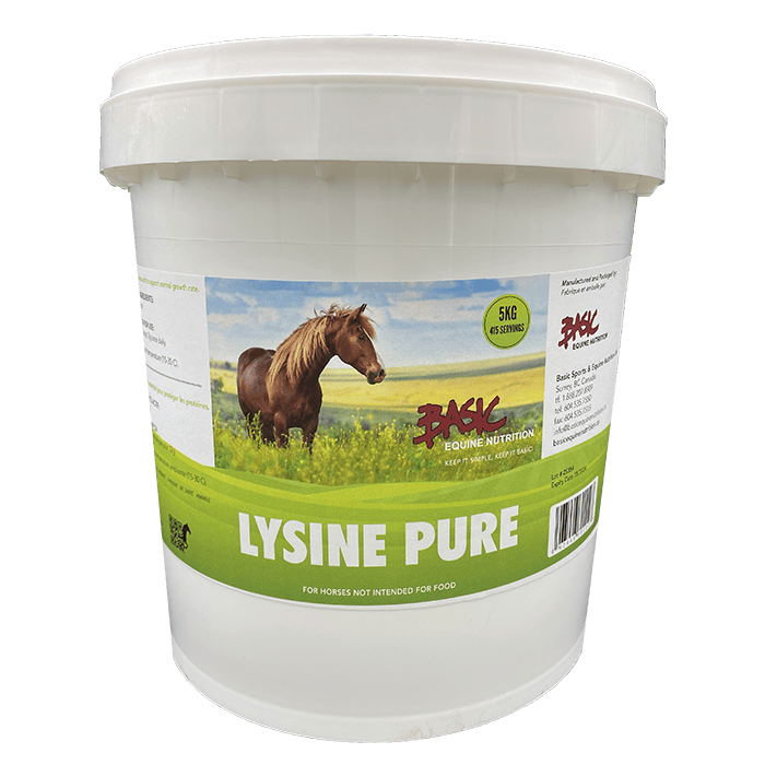 Basic Equine Lysine Pure