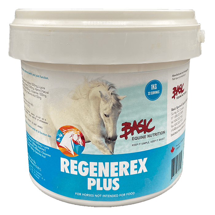 Basic Equine - Regenerex Plus 1kg