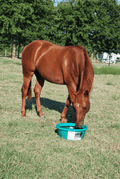 CRYSTALYX Stable-lyx