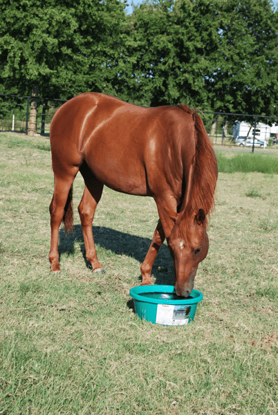 CRYSTALYX Stable-lyx