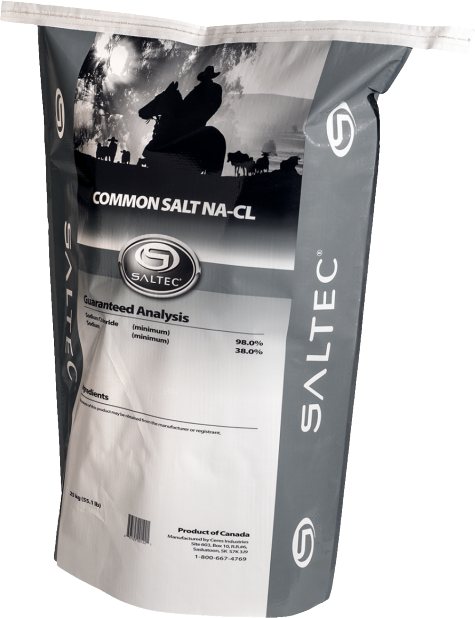 Common Salt Bag