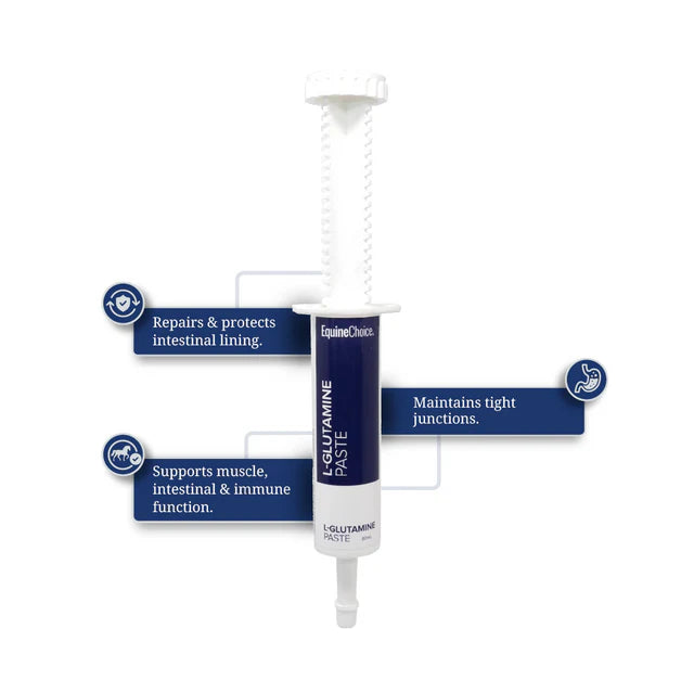 Equine Choice L-Glutamine Paste