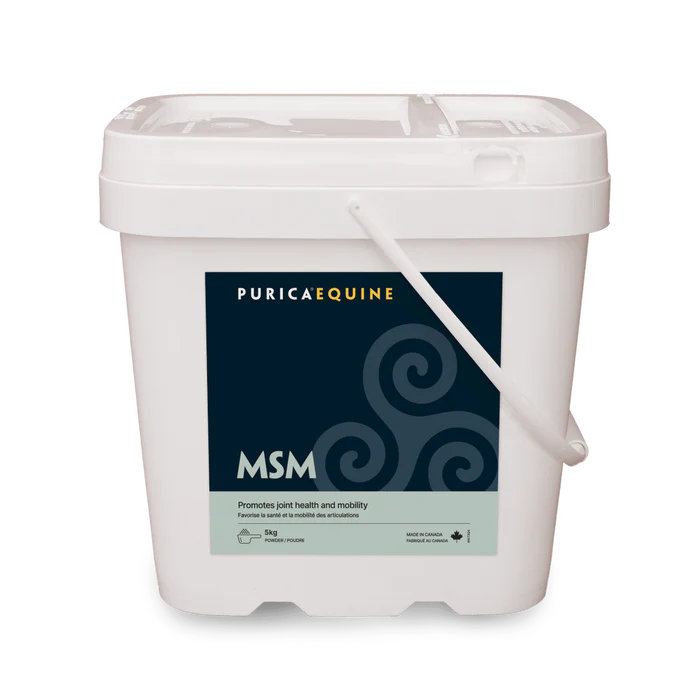 Purica Equine MSM