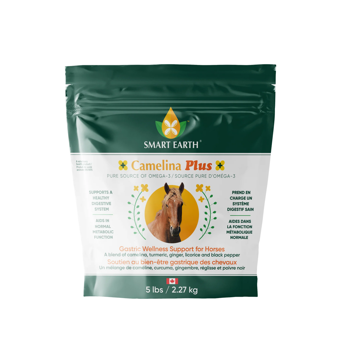 Camelina Plus - Gastric Wellness