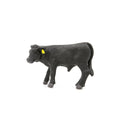 Little Busters Black Angus Calf