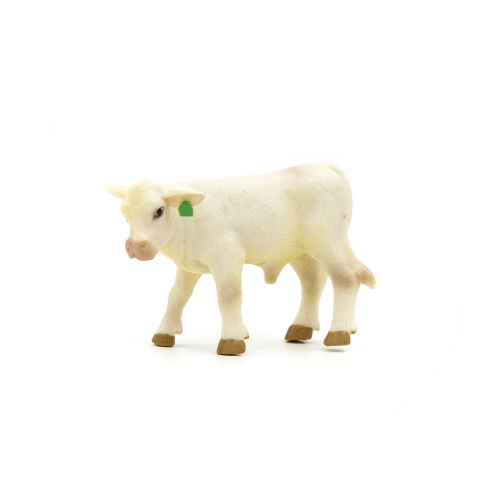 Little Busters Charolais Calf