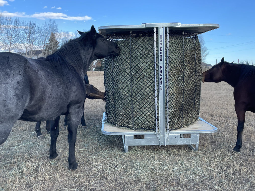 Hayboss Big Round Premium Feeder