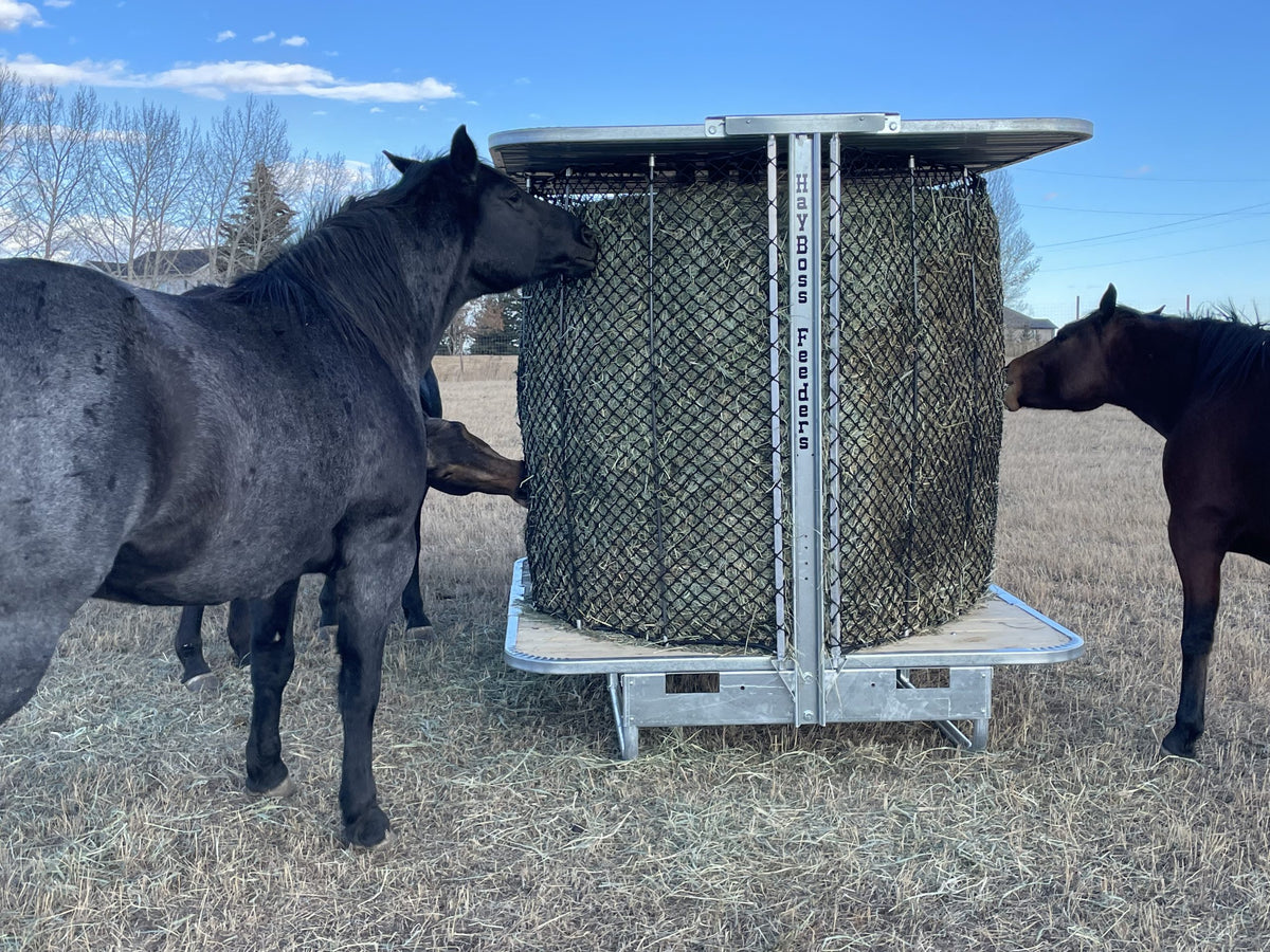 Hayboss Big Round Premium Feeder