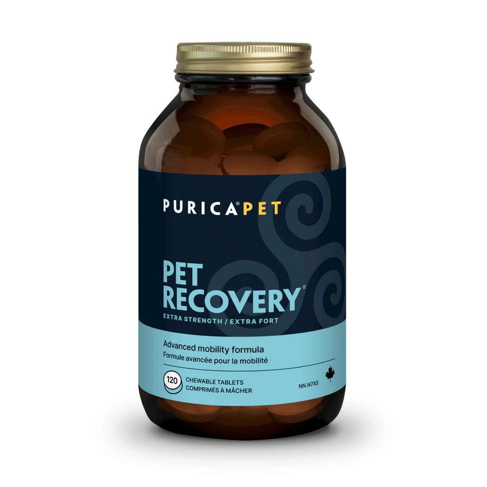 PURICA Pet Recovery Chews