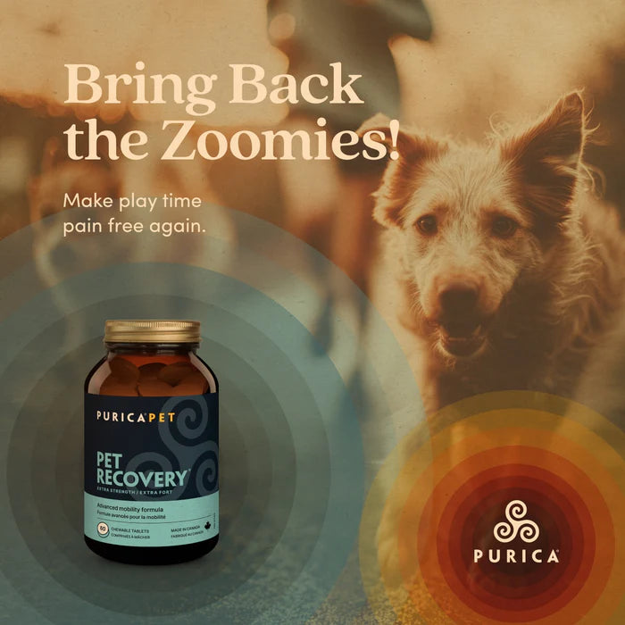 PURICA Pet Recovery Chews