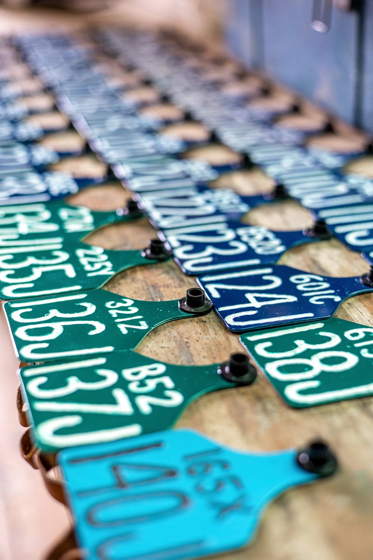 Ritchey Tags
