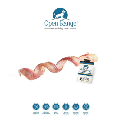 Open Range Bully Spring