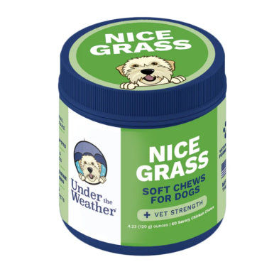 UTW Grass Saver Soft Chew Dog 60ct/120g