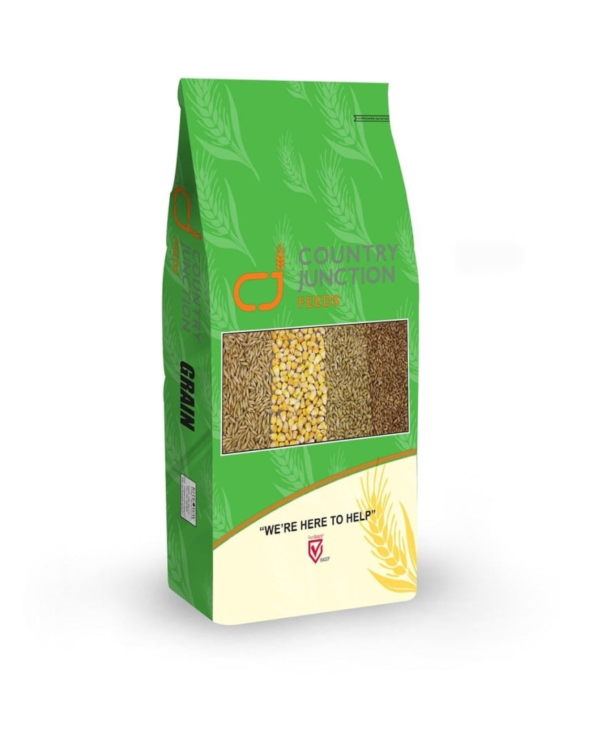 CJ Triple Clean Oats