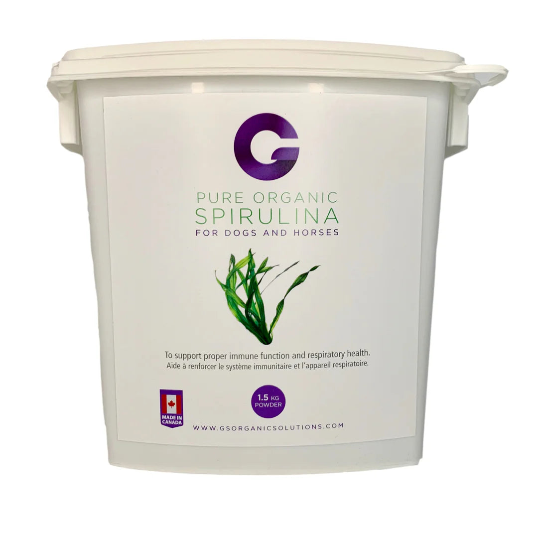 G'S Organic Spirulina Tablets 1.5kg