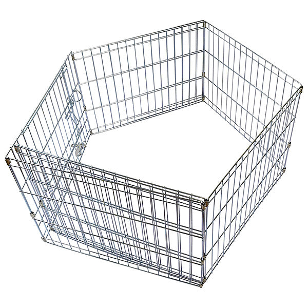 Exercise Pen Zinc Silver