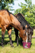 Cana-Lix Horse Tubs