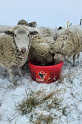 Cana-Lix Sheep Tub