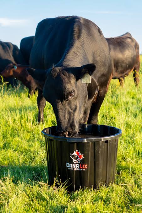 Cana-Lix Beef Tubs