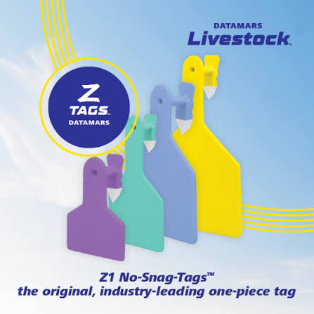 Z Tags