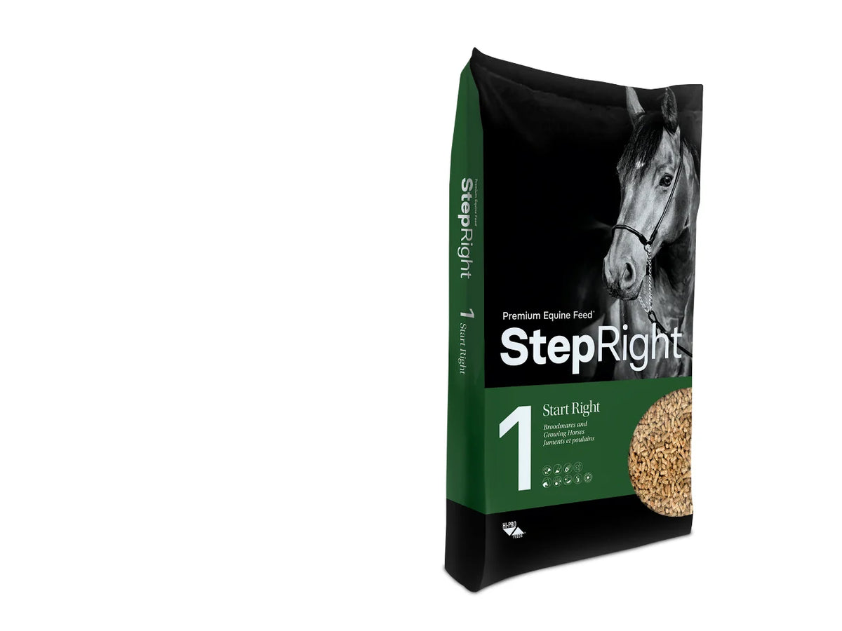 Step 1  Broodmares and Growing