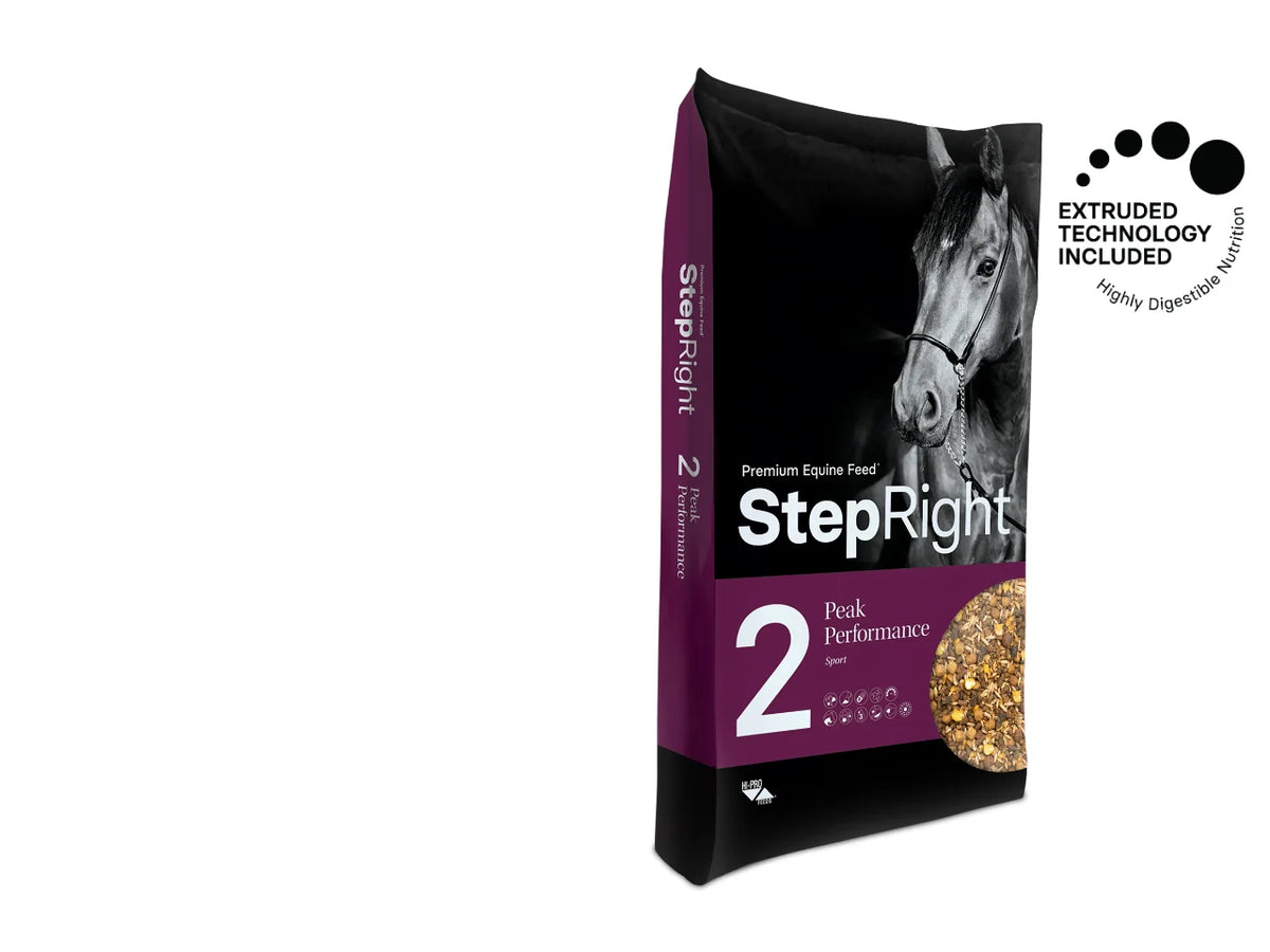Step 2 Peak Performance - Sport